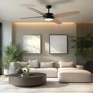 Beat the Heat — Upgrade Your Fans with Premier Plus Electric!